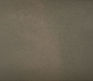 Shark Skin